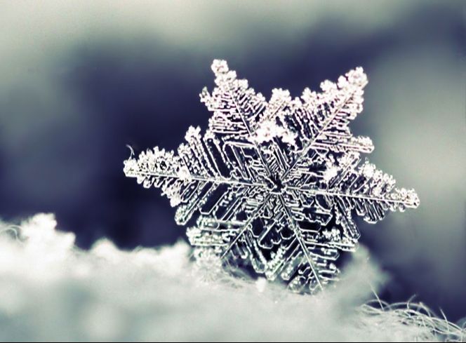 El microcosmos de la nieve